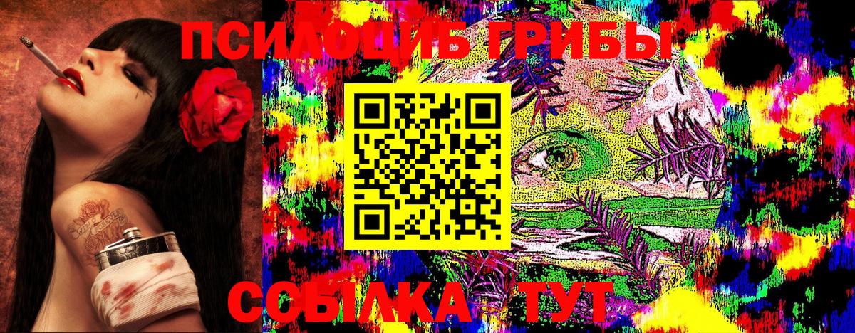 Псилоцибиновые грибы мицелий Наро-Фоминск